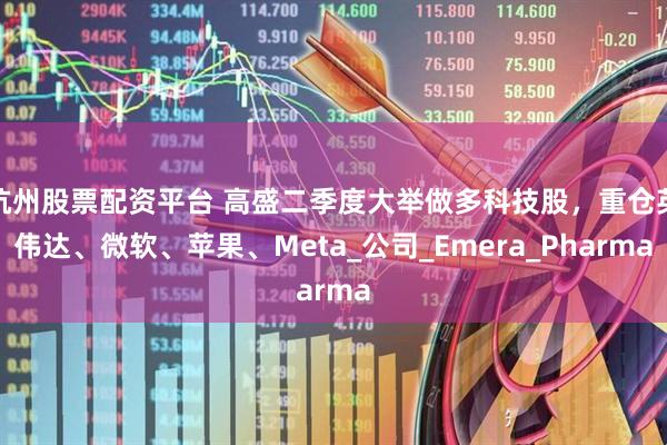 杭州股票配资平台 高盛二季度大举做多科技股，重仓英伟达、微软、苹果、Meta_公司_Emera_Pharma