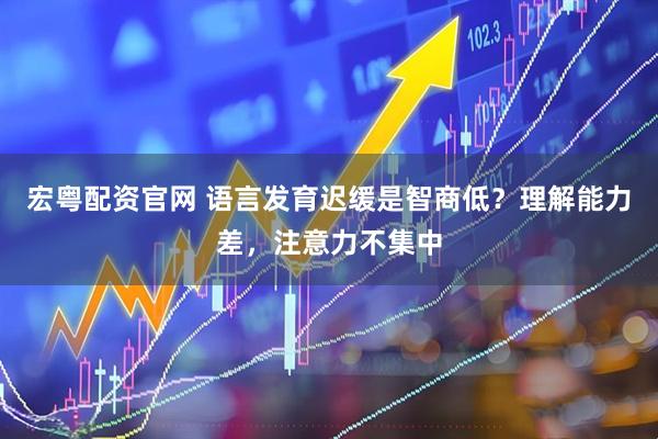 宏粤配资官网 语言发育迟缓是智商低？理解能力差，注意力不集中