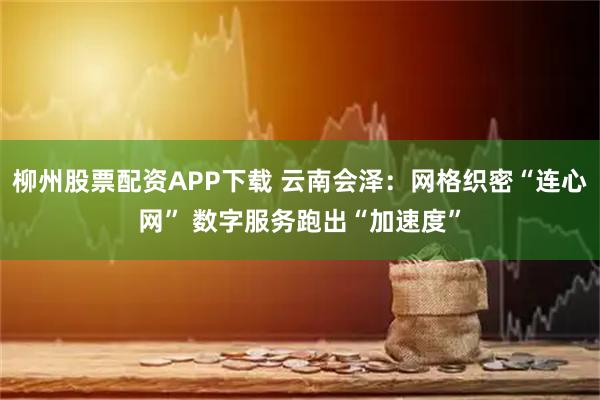 柳州股票配资APP下载 云南会泽：网格织密“连心网” 数字服务跑出“加速度”