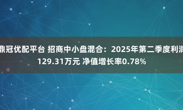 鼎冠优配平台 招商中小盘混合：2025年第二季度利润129.31万元 净值增长率0.78%
