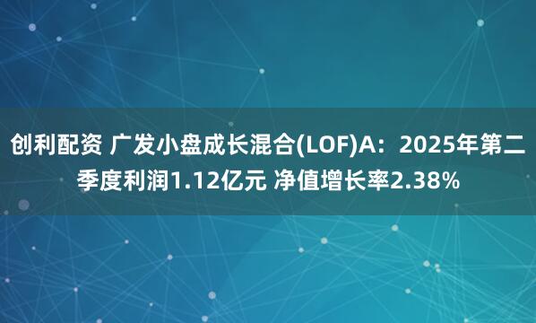 创利配资 广发小盘成长混合(LOF)A：2025年第二季度利润1.12亿元 净值增长率2.38%