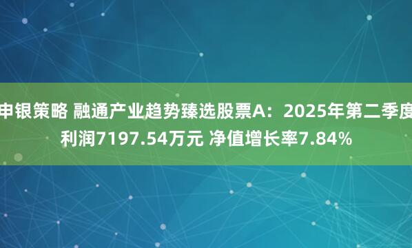 申银策略 融通产业趋势臻选股票A：2025年第二季度利润7197.54万元 净值增长率7.84%