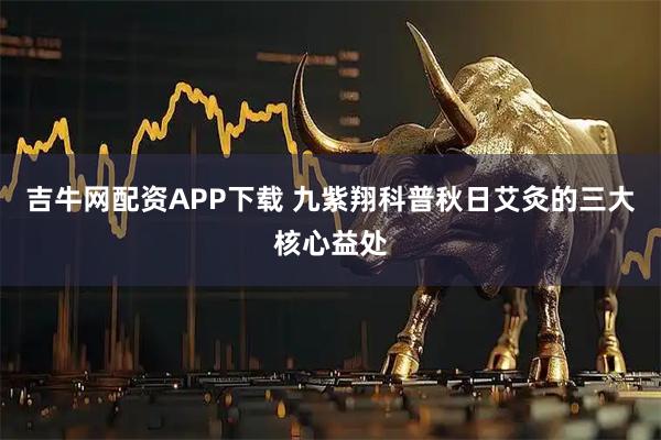 吉牛网配资APP下载 九紫翔科普秋日艾灸的三大核心益处